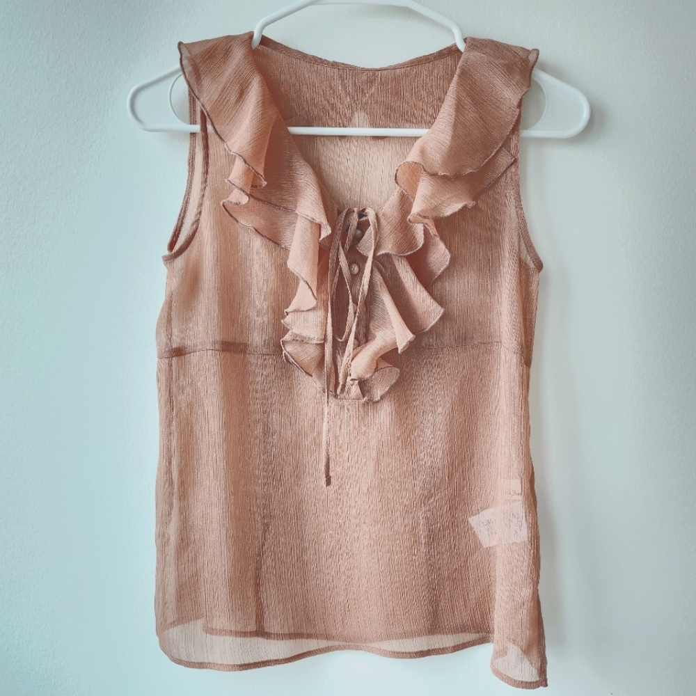 Lily Brown See Through Frilled Blouse in Beige